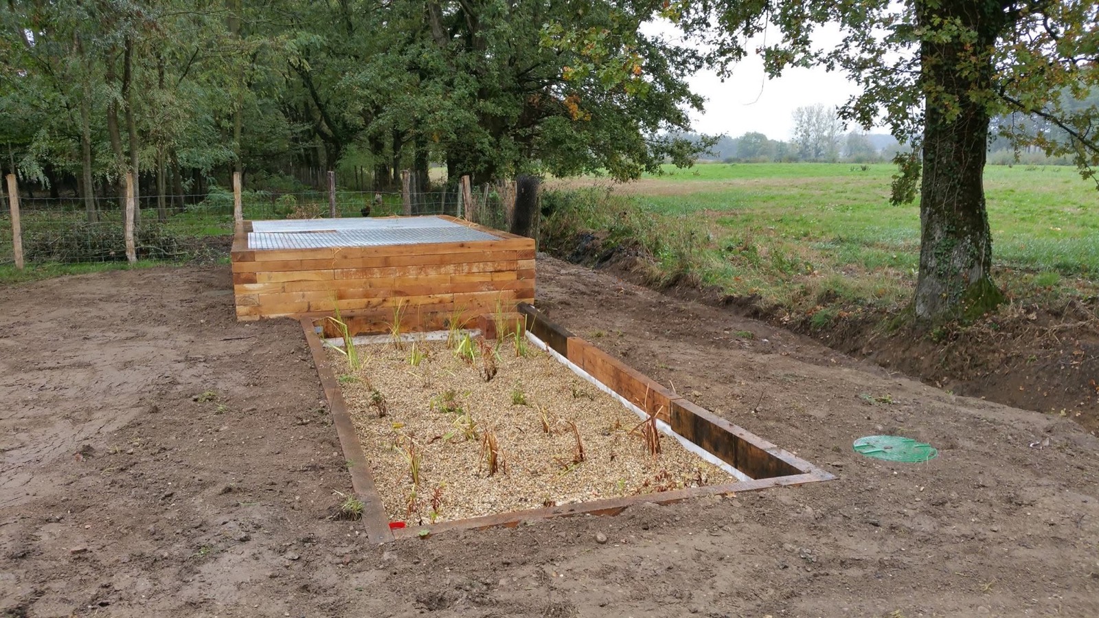 Phyto-épuration : Des filtres plantés de roseaux qui traitent les eaux naturellement, sa (Chagneux Environnement, Ain)