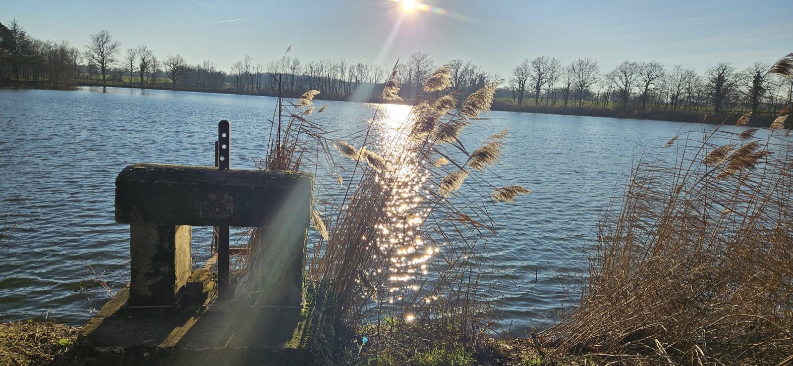 Plans d'eau : Creusement et profilage de bassins et d'étangs, comme ce plan d'eau ré (Chagneux Environnement, Ain)